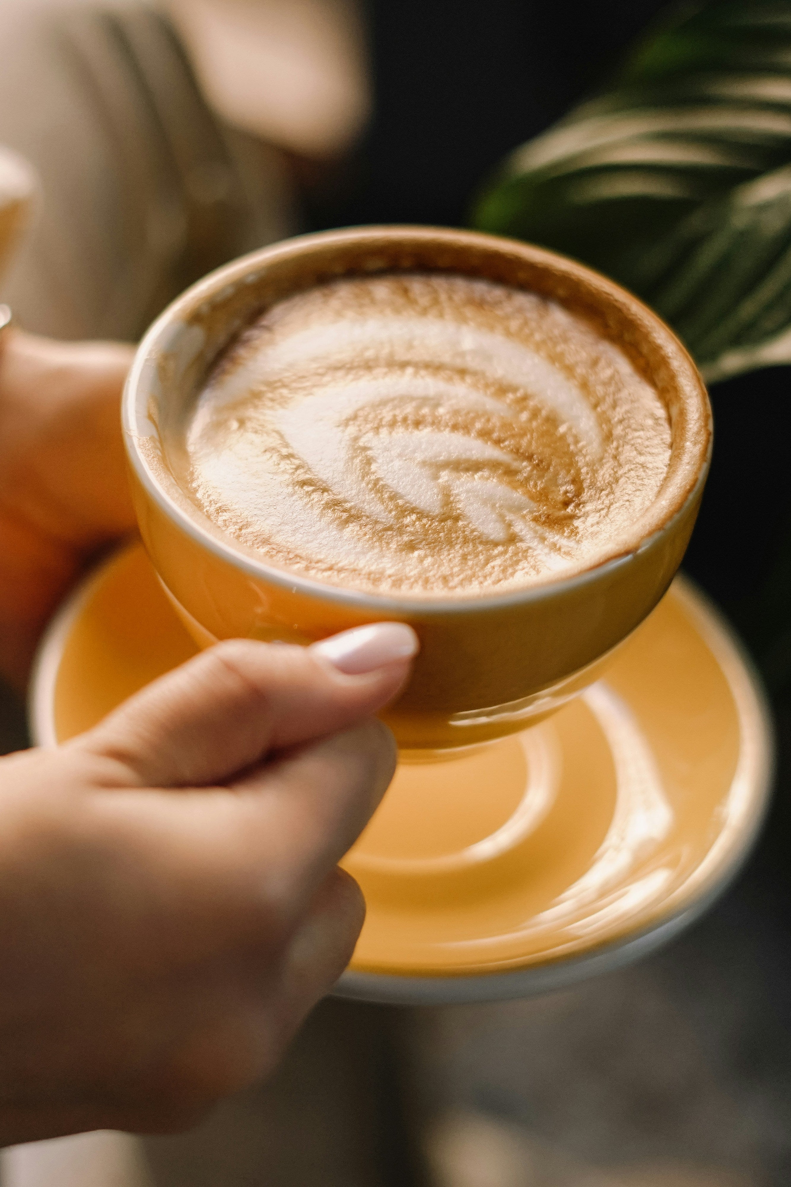 Dark Roast Whole Bean Coffee
