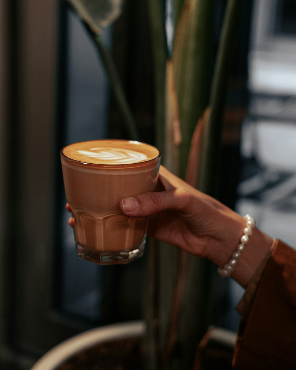 Exclusive Import - Harazi