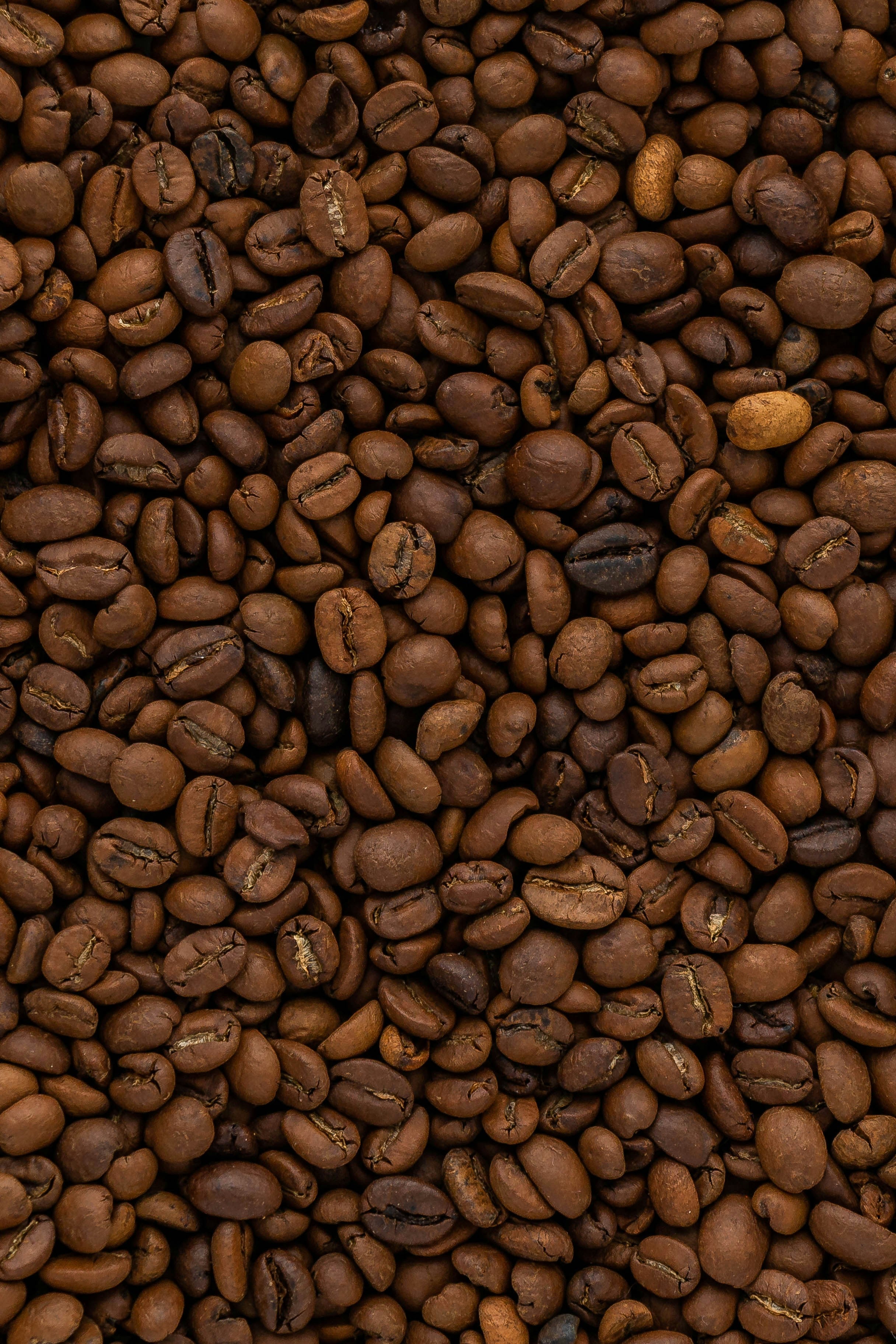 Medium Roast Whole Bean Coffee